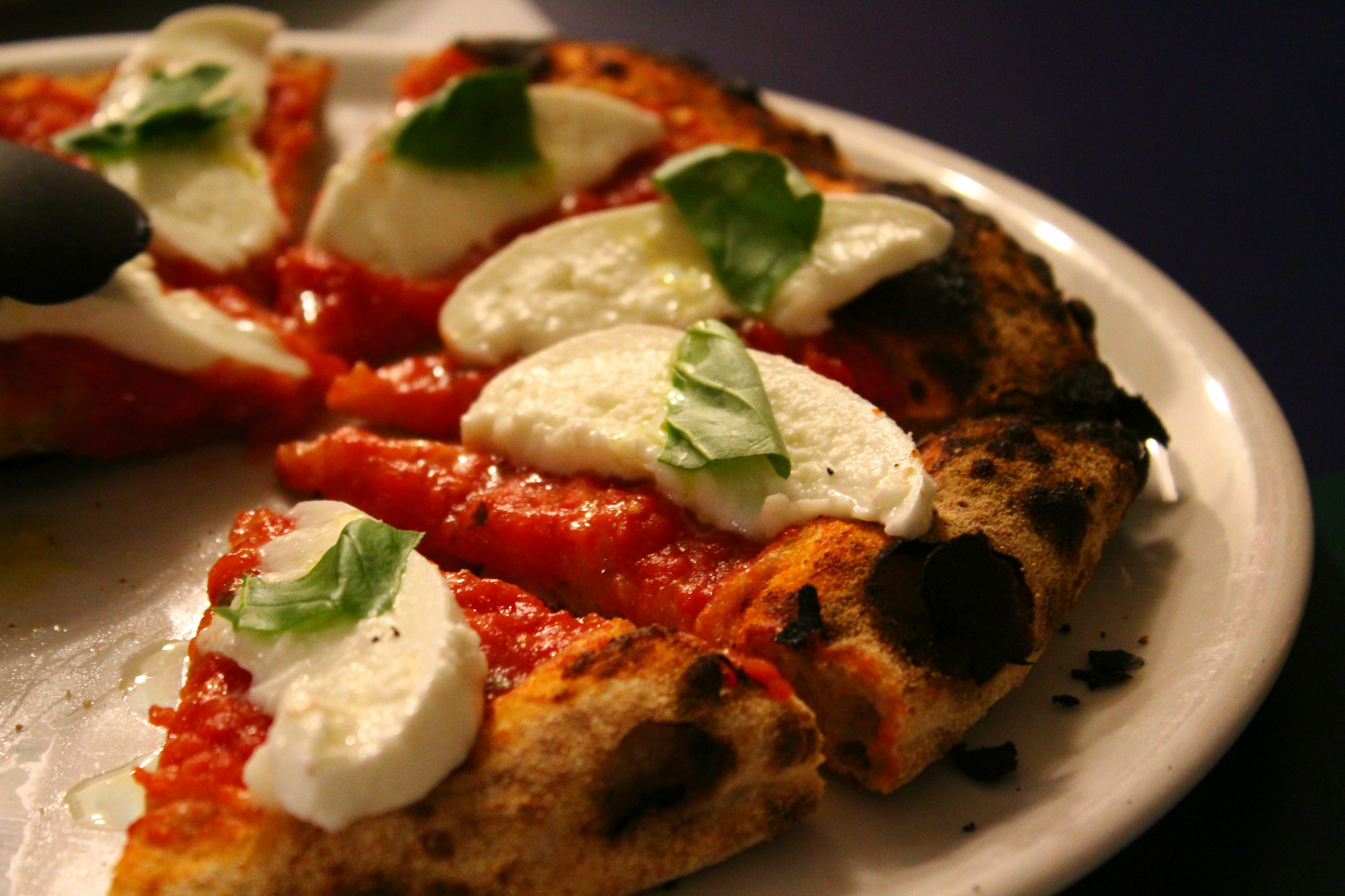 A Margherita DOP pie with leopard-spotted crust, basil, and fior di latte.